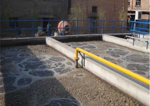 屠宰污水處理工程(圖1)